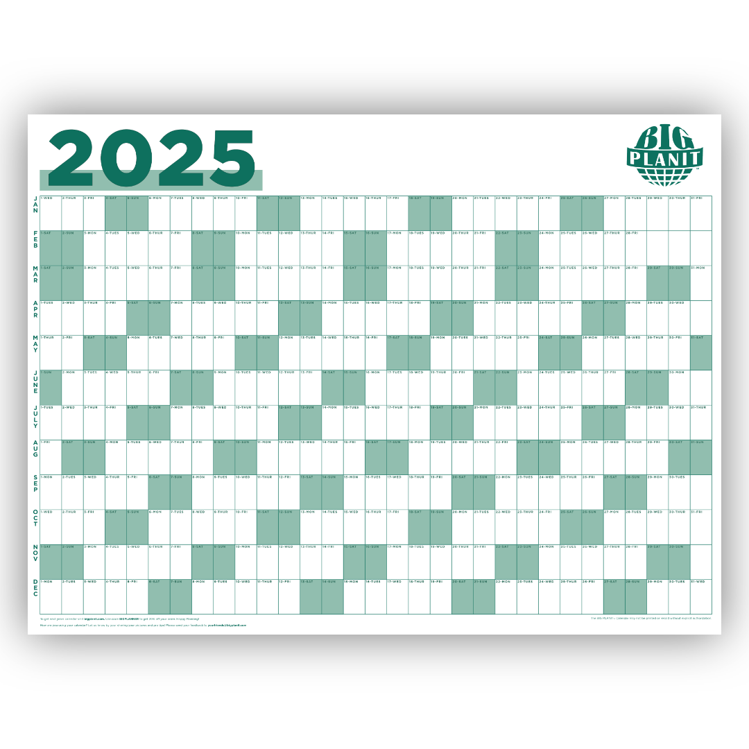 BIG PLANIT 2025 Calendar